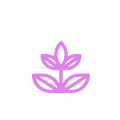 spa4-services-icon4